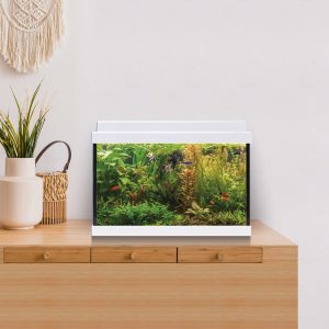 Kits Acuario